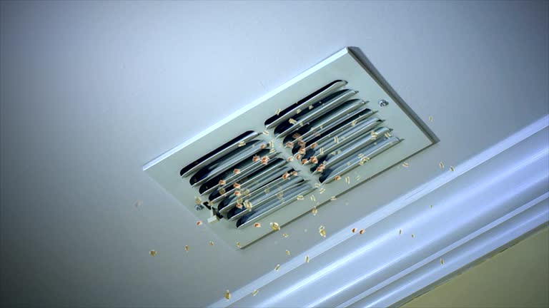 Best Affordable Duct Cleaning Services  in Clinton, UT