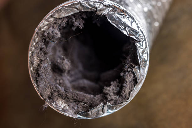 Best Air Duct Mold Removal  in Clinton, UT