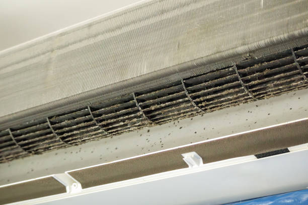 Best HVAC Air Duct Cleaning  in Clinton, UT